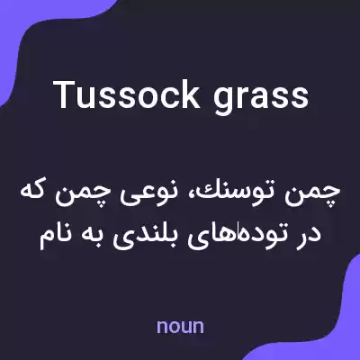 معنی tussock grass به فارسی معنی tussock grass به فارسی