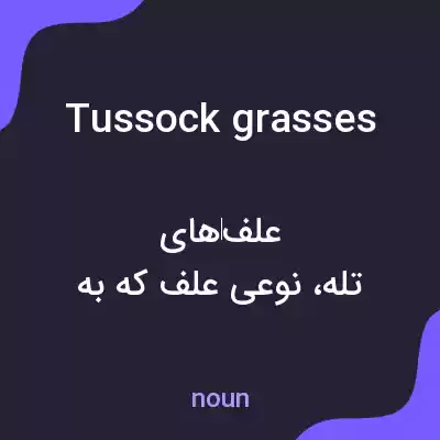 معنی tussock grasses به فارسی معنی tussock grasses به فارسی