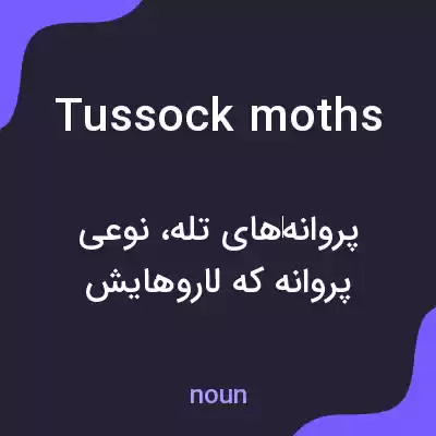 معنی tussock moths به فارسی معنی tussock moths به فارسی