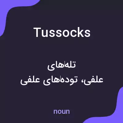 معنی tussocks به فارسی معنی tussocks به فارسی
