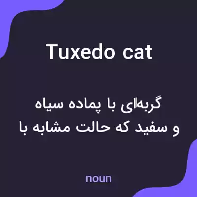 معنی tuxedo cat به فارسی معنی tuxedo cat به فارسی