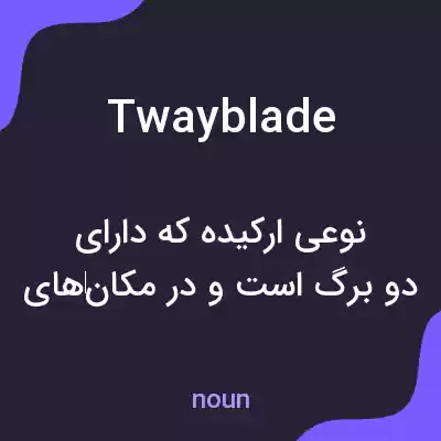 معنی twayblade به فارسی معنی twayblade به فارسی