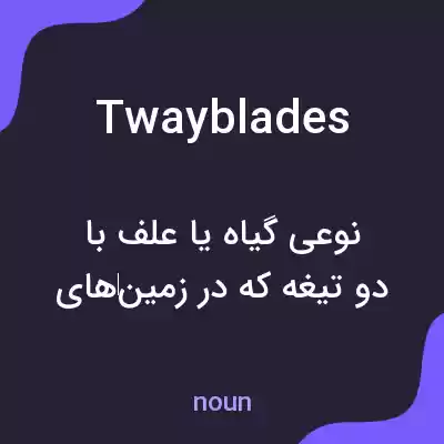 معنی twayblades به فارسی معنی twayblades به فارسی