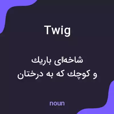 معنی twig به فارسی معنی twig به فارسی