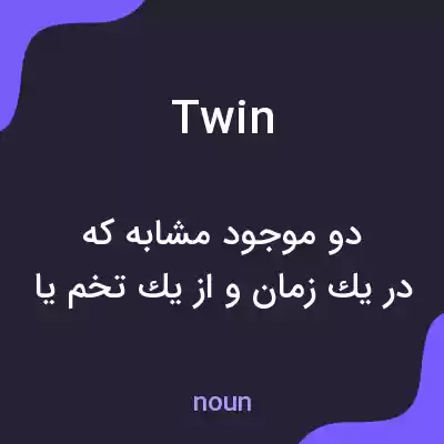 معنی twin به فارسی معنی twin به فارسی