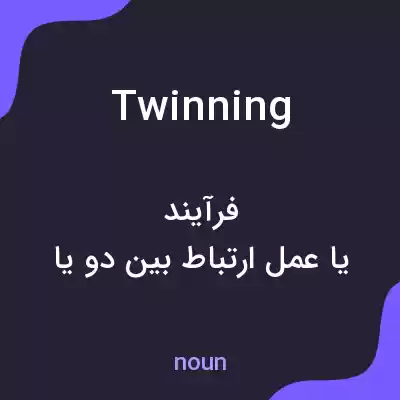 معنی twinning به فارسی معنی twinning به فارسی