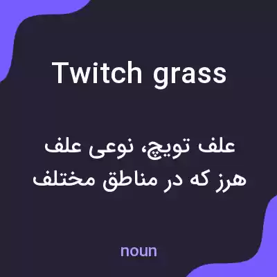 معنی twitch grass به فارسی معنی twitch grass به فارسی
