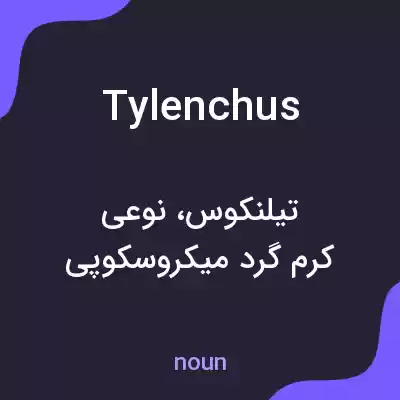 معنی tylenchus به فارسی