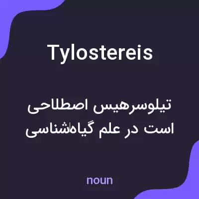 معنی tylostereis به فارسی معنی tylostereis به فارسی