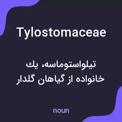 معنی tylostomaceae به فارسی معنی tylostomaceae به فارسی