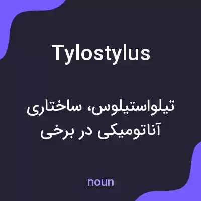 معنی tylostylus به فارسی معنی tylostylus به فارسی