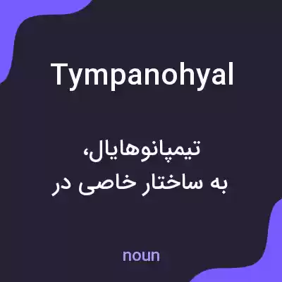 معنی tympanohyal به فارسی معنی tympanohyal به فارسی