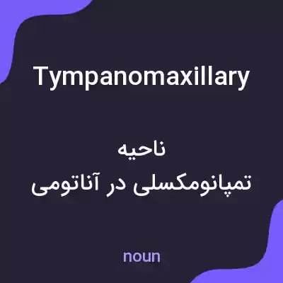 معنی tympanomaxillary به فارسی معنی tympanomaxillary به فارسی