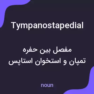معنی tympanostapedial به فارسی معنی tympanostapedial به فارسی