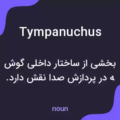 معنی tympanuchus به فارسی معنی tympanuchus به فارسی