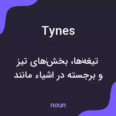 معنی tynes به فارسی