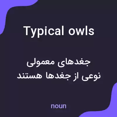 معنی typical owls به فارسی معنی typical owls به فارسی