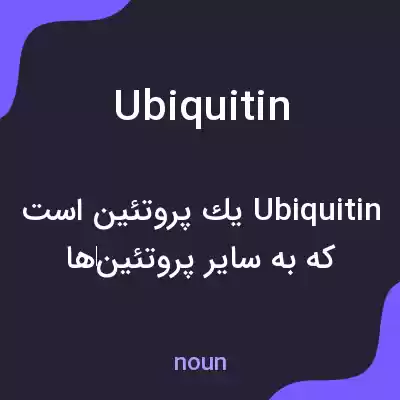 معنی ubiquitin به فارسی معنی ubiquitin به فارسی