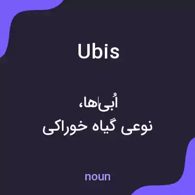 معنی ubis به فارسی معنی ubis به فارسی