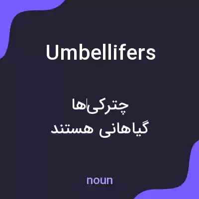 معنی umbellifers به فارسی معنی umbellifers به فارسی