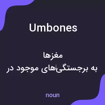 معنی umbones به فارسی معنی umbones به فارسی