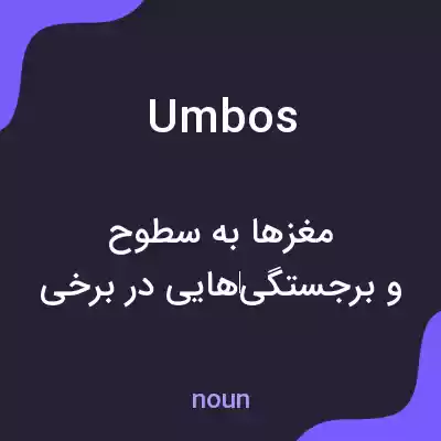 معنی umbos به فارسی
