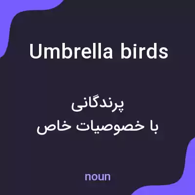 معنی umbrellabirds به فارسی معنی umbrellabirds به فارسی