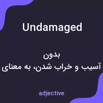 معنی undamaged به فارسی معنی undamaged به فارسی