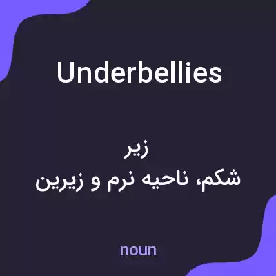 معنی underbellies به فارسی معنی underbellies به فارسی