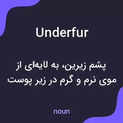 معنی underfur به فارسی معنی underfur به فارسی