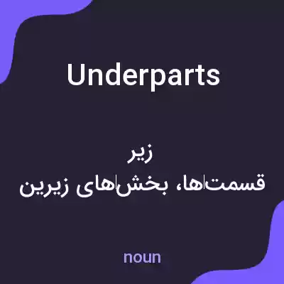 معنی underparts به فارسی معنی underparts به فارسی