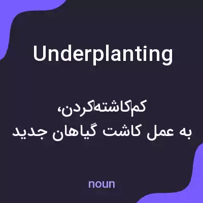 معنی underplanting به فارسی معنی underplanting به فارسی