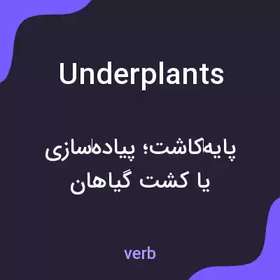 معنی underplants به فارسی معنی underplants به فارسی