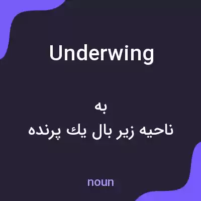 معنی underwing به فارسی معنی underwing به فارسی