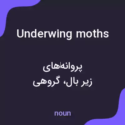 معنی underwing moths به فارسی معنی underwing moths به فارسی