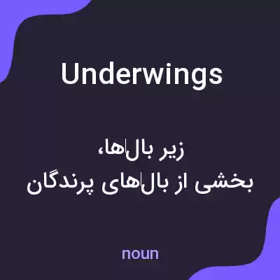 معنی underwings به فارسی