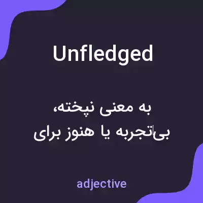 معنی unfledged به فارسی