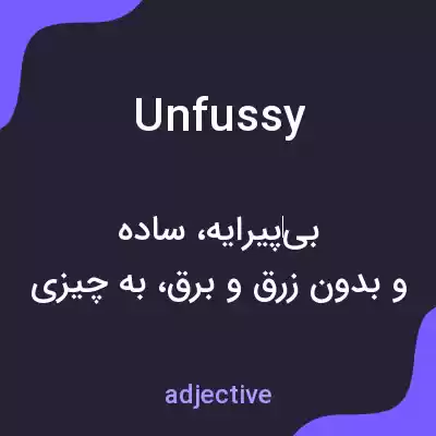معنی unfussy به فارسی