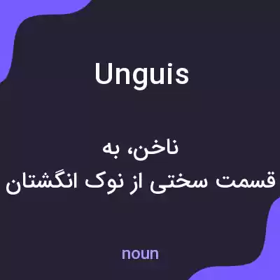 معنی unguis به فارسی معنی unguis به فارسی