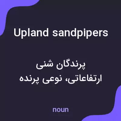 معنی upland sandpipers به فارسی معنی upland sandpipers به فارسی