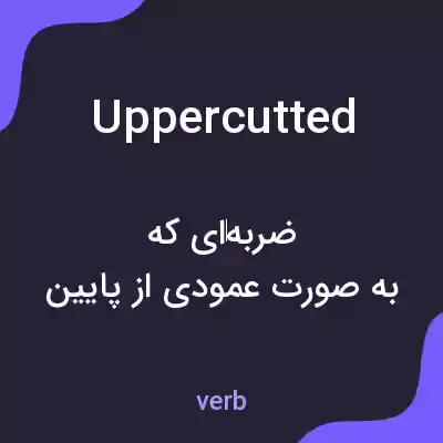 معنی uppercutted به فارسی معنی uppercutted به فارسی
