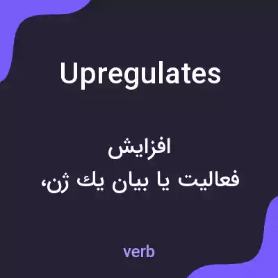 معنی upregulates به فارسی معنی upregulates به فارسی
