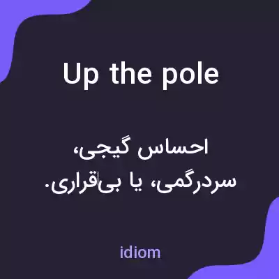 معنی up the pole به فارسی معنی up the pole به فارسی