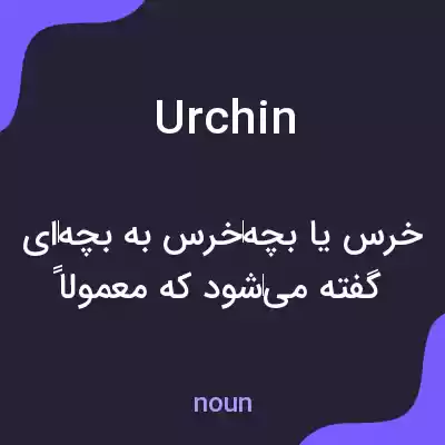 معنی urchin به فارسی معنی urchin به فارسی