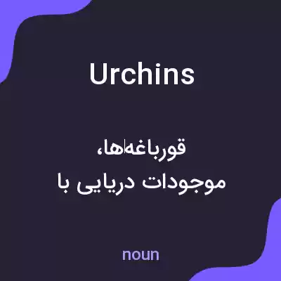 معنی urchins به فارسی معنی urchins به فارسی