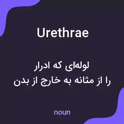 معنی urethrae به فارسی معنی urethrae به فارسی