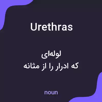 معنی urethras به فارسی معنی urethras به فارسی