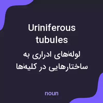 معنی uriniferous tubules به فارسی معنی uriniferous tubules به فارسی