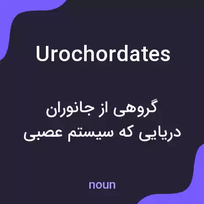 معنی urochordates به فارسی معنی urochordates به فارسی