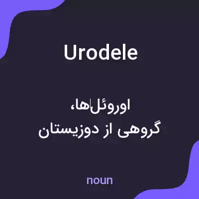 معنی urodele به فارسی معنی urodele به فارسی